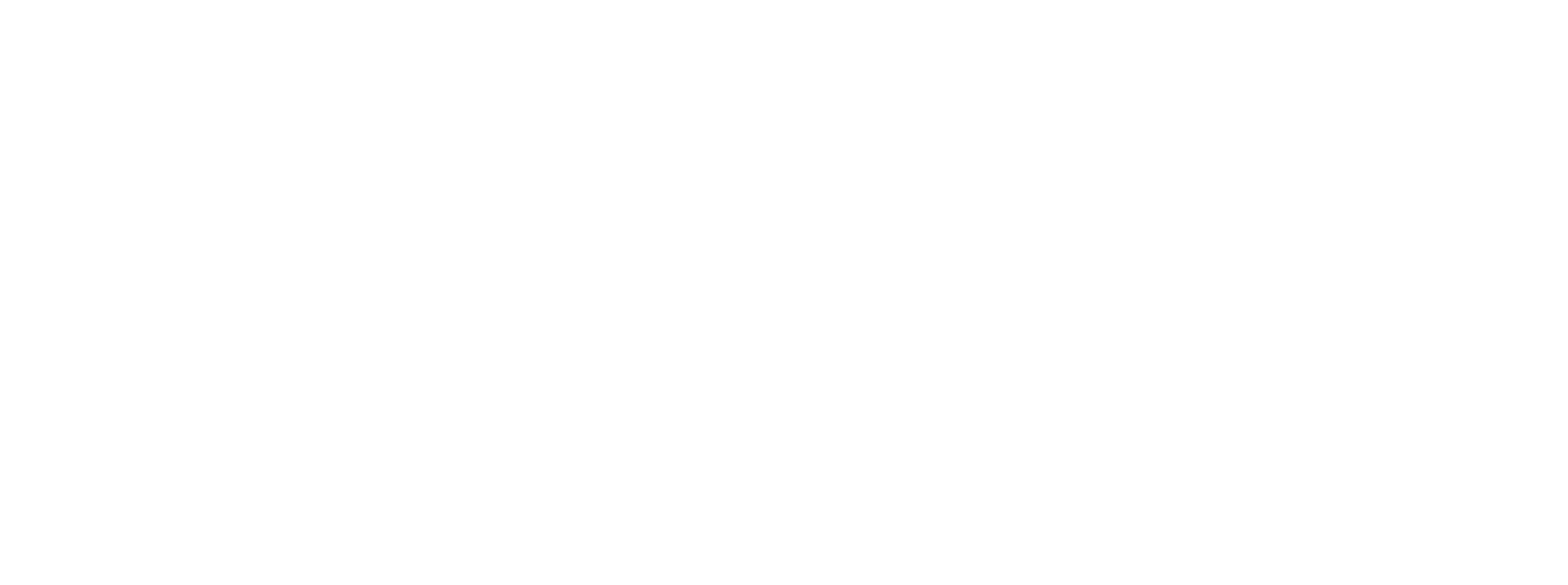 Action Action